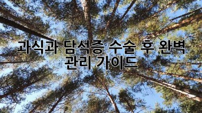 과식과 담석증: 수술 후 완벽 관리 가이드