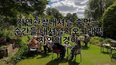📸 자연관찰내셔널: 숨멎는 순간들! #내셔널지오그래픽 #자연의경이