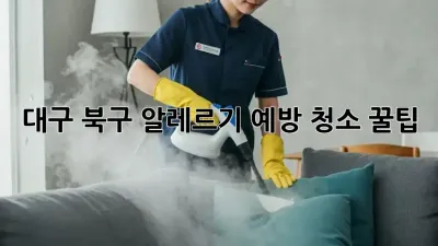 대구 북구 알레르기 예방 청소 꿀팁 🏡✨